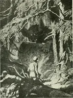 An illustration from Studio international (1893)