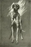 An illustration from Studio international (1893)