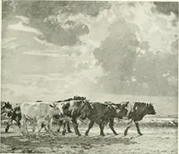 An illustration from Studio international (1893)