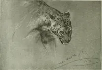 An illustration from Studio international (1893)
