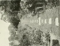 An illustration from Studio international (1893)