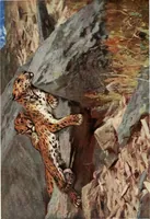 An illustration from Studio international (1893)