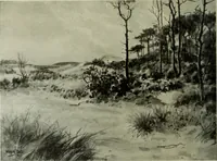 An illustration from Studio international (1893)