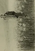 An illustration from Studio international (1893)