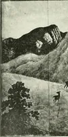 Picture 131 of 175 from Studio international (1893), leaf 131