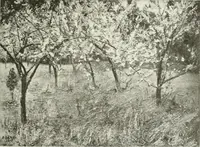 An illustration from Studio international (1893)