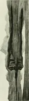 An illustration from Studio international (1893)