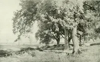 An illustration from Studio international (1893)
