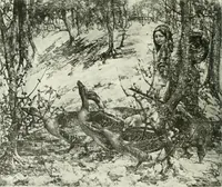 An illustration from Studio international (1893)