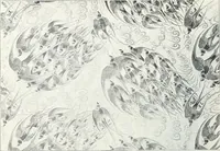 An illustration from Studio international (1893)