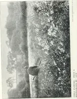 An illustration from Studio international (1893)