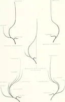 An illustration from Studio international (1893)