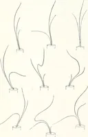 An illustration from Studio international (1893)