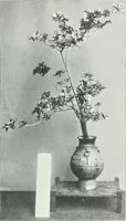 An illustration from Studio international (1893)