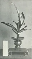 An illustration from Studio international (1893)