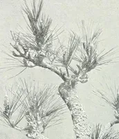 An illustration from Studio international (1893)