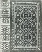 An illustration from Studio international (1893)