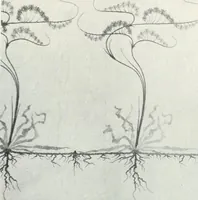 An illustration from Studio international (1893)
