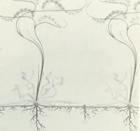 An illustration from Studio international (1893)