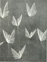 An illustration from Studio international (1893)