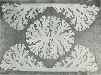An illustration from Studio international (1893)