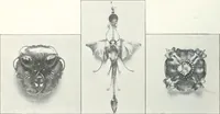 An illustration from Studio international (1893)