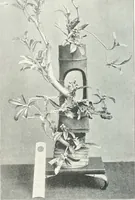 An illustration from Studio international (1893)