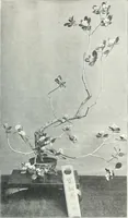 An illustration from Studio international (1893)