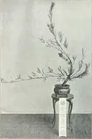 An illustration from Studio international (1893)