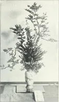 An illustration from Studio international (1893)