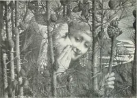 An illustration from Studio international (1893)