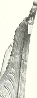 An illustration from Studio international (1893)