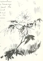 An illustration from Studio international (1893)