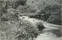 An illustration from Studio international (1893)