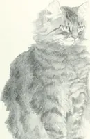 An illustration from Studio international (1893)