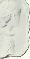 An illustration from Studio international (1893)