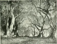 An illustration from Studio international (1893)