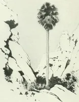 An illustration from Studio international (1893)
