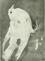 An illustration from Studio international (1893)