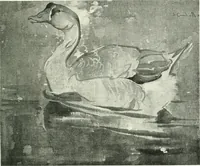 An illustration from Studio international (1893)