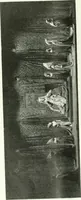 An illustration from Studio international (1893)