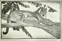 An illustration from Studio international (1893)