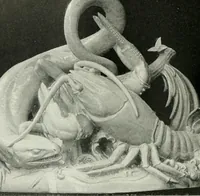 Picture 247 of 409 from Studio international (1893), leaf 247