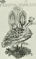 An illustration from Studio international (1893)