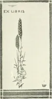 Picture 282 of 409 from Studio international (1893), leaf 274