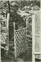 Picture 296 of 409 from Studio international (1893), leaf 285