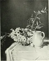 Picture 373 of 409 from Studio international (1893), leaf 360