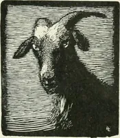 Picture 408 of 409 from Studio international (1893), leaf 391