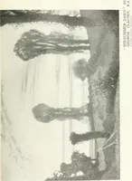Picture 58 of 409 from Studio international (1893), leaf 72