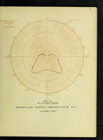 Picture 4 of 28 from A study of direct and indirect illumination (1912), leaf 20